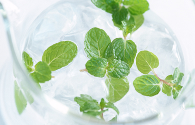Eat Mint cool summer